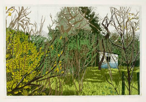 Euvelgunnerheem, wilde tuin I  2020 I houtsnede